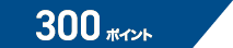 300ポイント